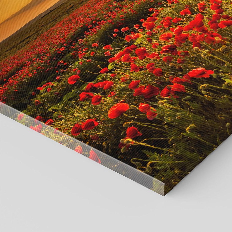 Obraz na płótnie - maki, pole, zachód słońca