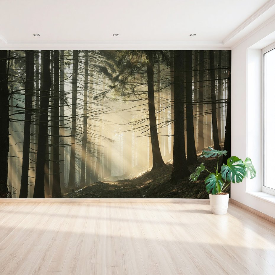 Fototapeta - las, drzewa, mgła