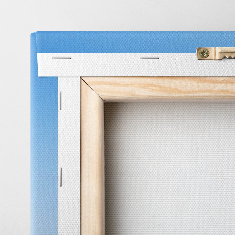 Obraz na płótnie - roślina, morze, niebo