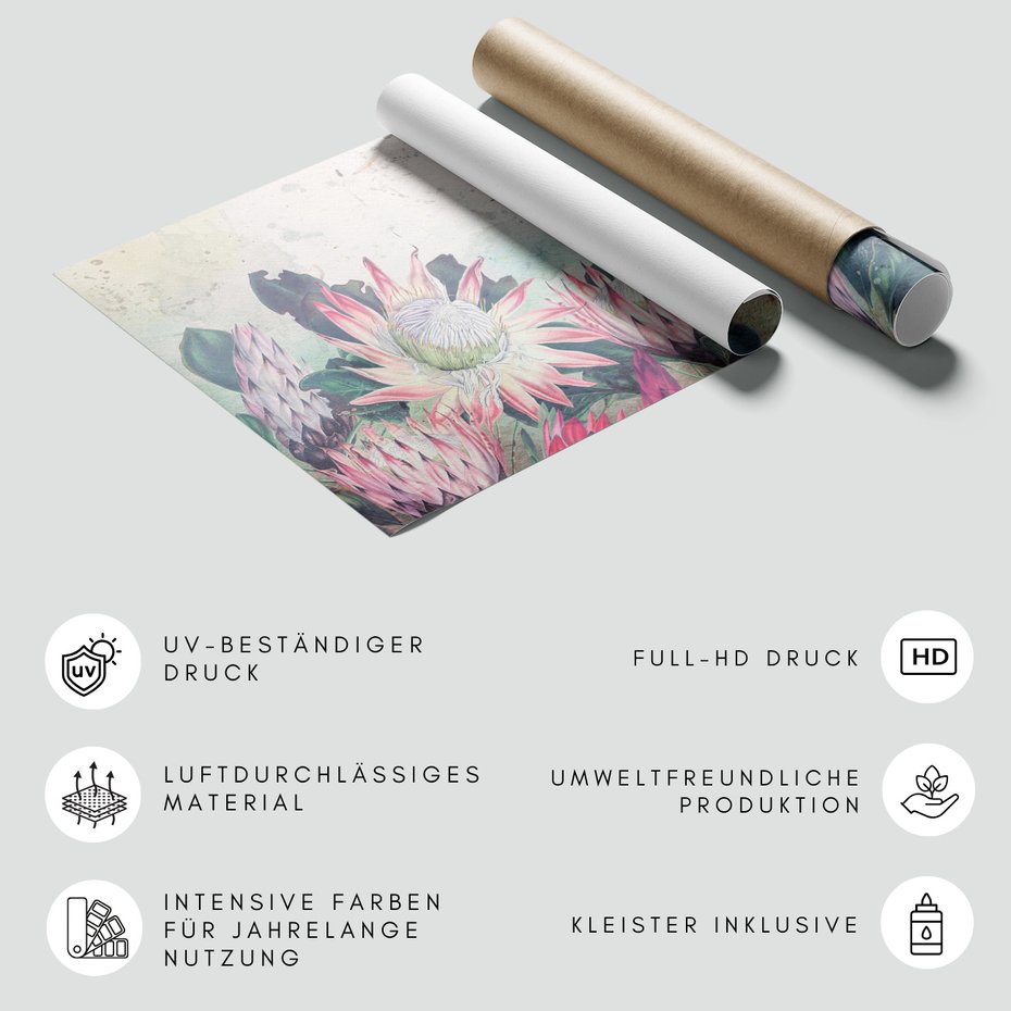 Fototapeta - kwiaty, kaktus, abstrakcja