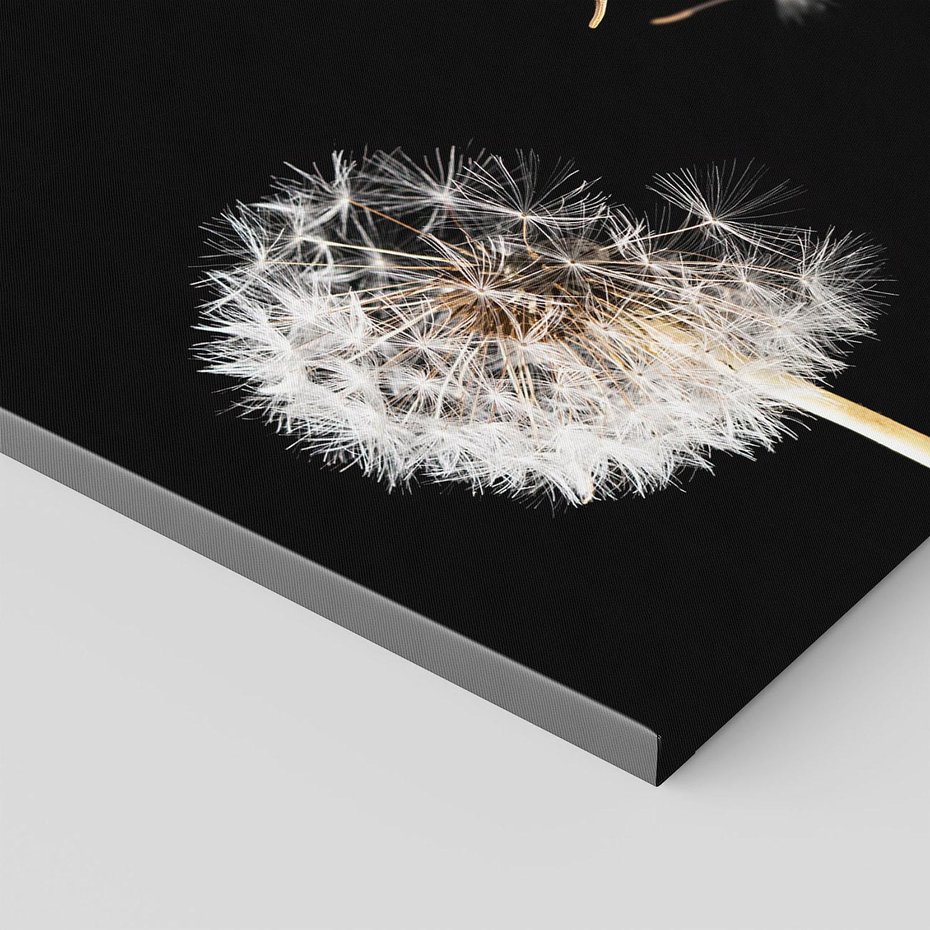 Obraz na płótnie - Dmuchawiec, Nasiona, Delikatność