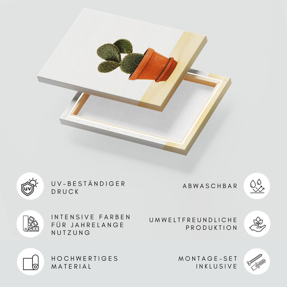 Obraz na płótnie - kaktus, doniczka, roślina