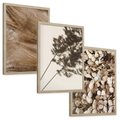 Zestaw obrazy w ramie, plakaty - rośliny, cienie, susz - rama drewno