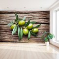 Fototapeta - oliwki, liście, drewno