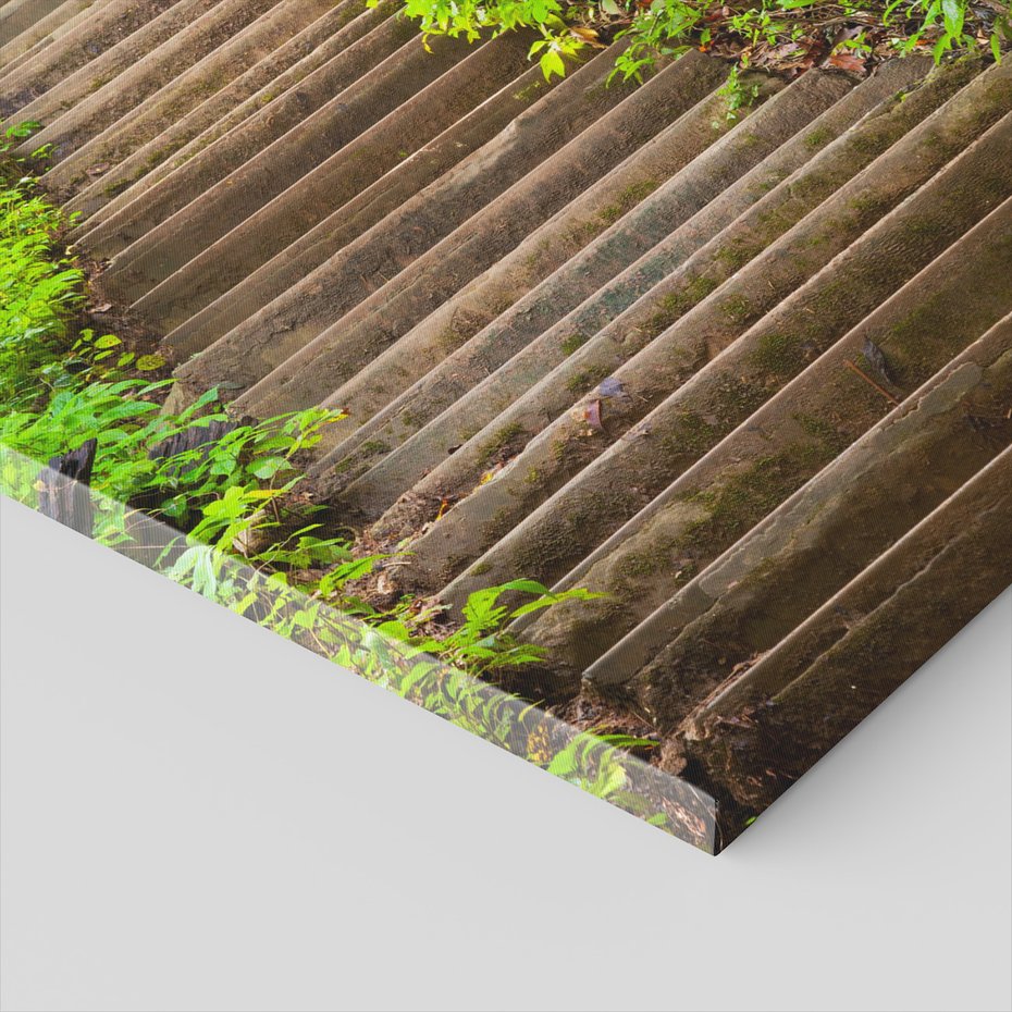 Obraz na płótnie - schody, las, natura