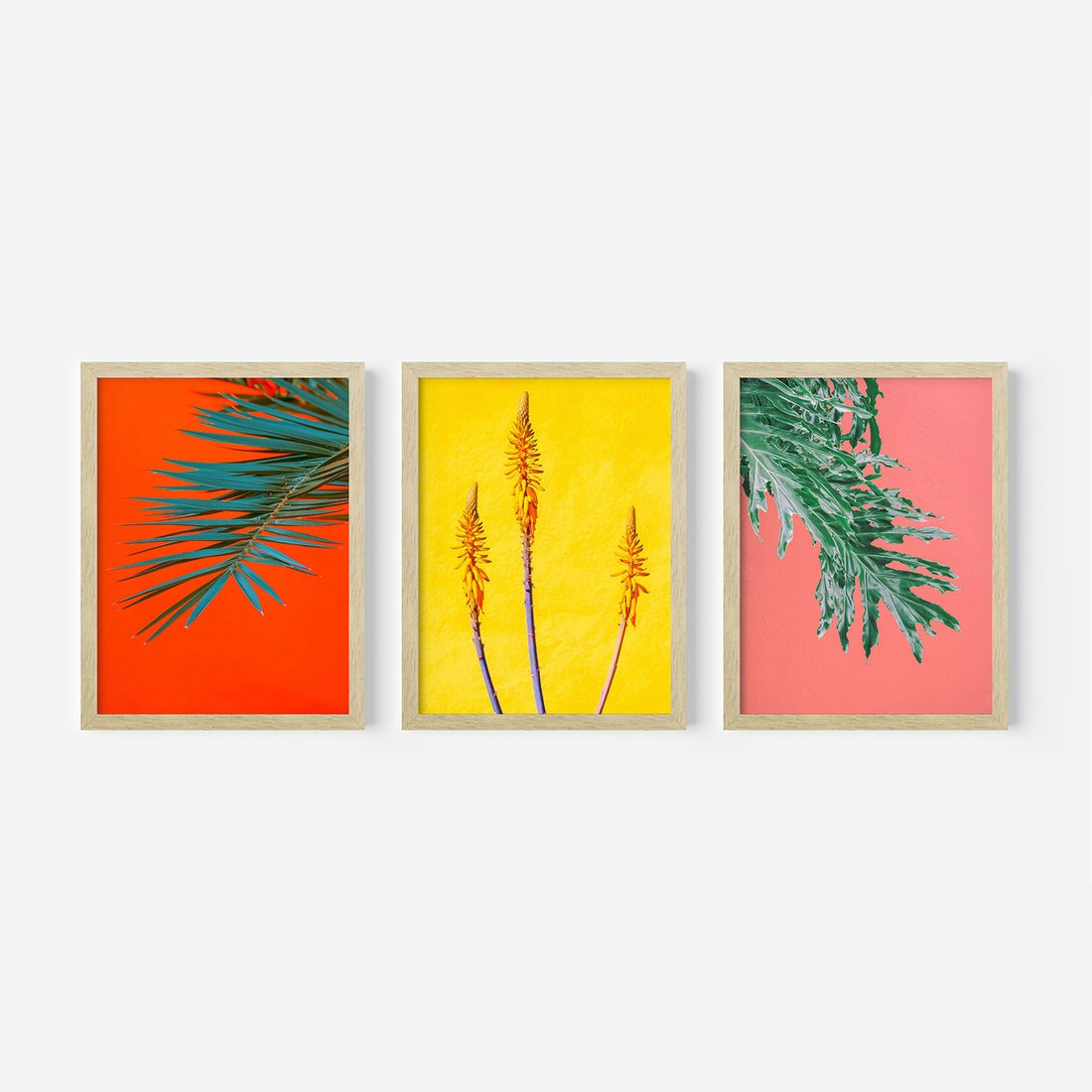 Zestaw obrazy w ramie, plakaty - liście, rośliny, kolory - rama drewno