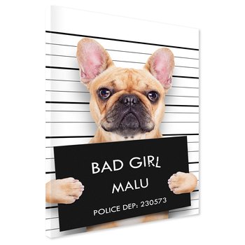 Obraz na płótnie - pies, buldog, tablica