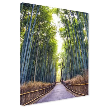 Obraz na płótnie - bambus, las, ścieżka