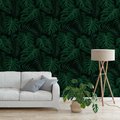 Tapeta - liście, monstera, roślinność