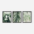 Zestaw obrazy w ramie, plakaty - liście, tropikalne, roślina - rama czarna