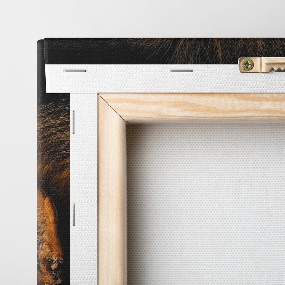 Obraz na płótnie - lew, portret, drapieżnik