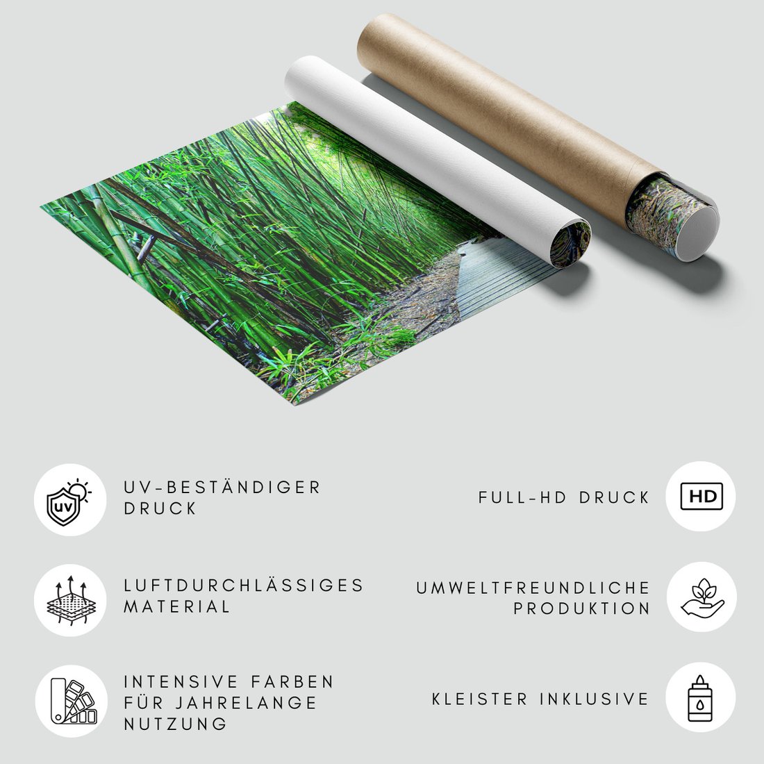 Fototapeta - bambus, las, ścieżka