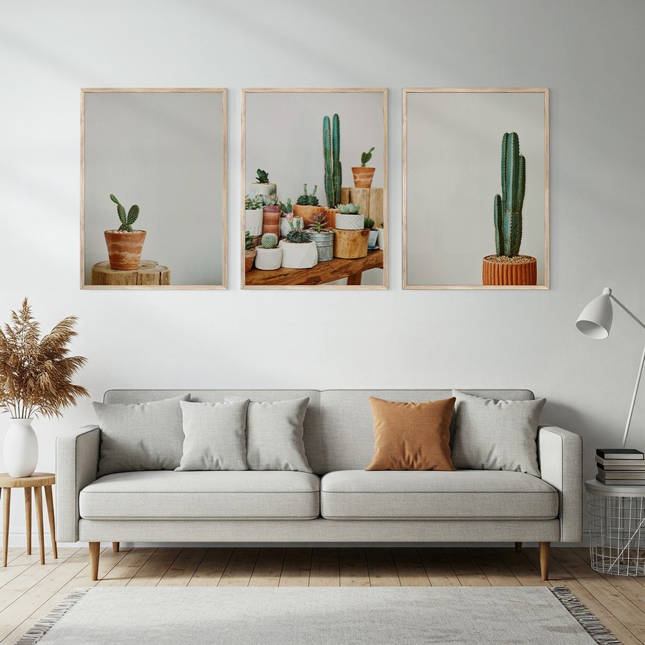 Zestaw obrazy w ramie, plakaty - kaktusy, sukulenty, rośliny - rama drewno