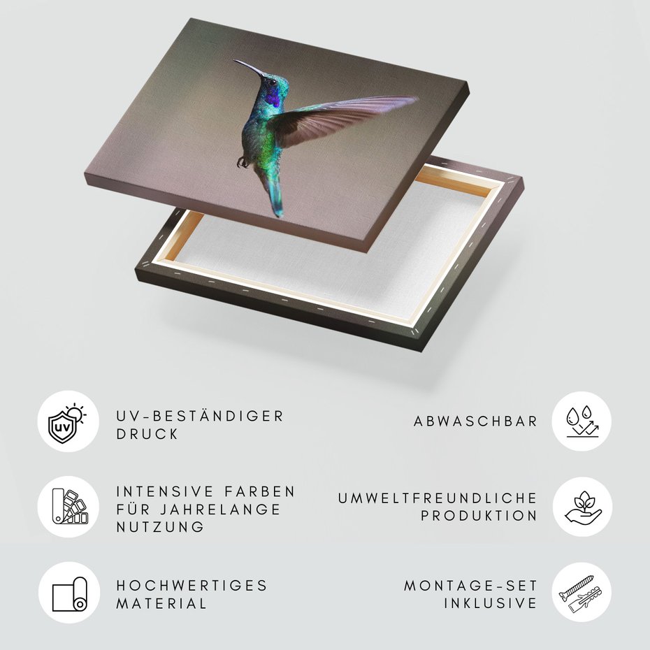 Obraz na płótnie - Koliber, Ptak, Natura