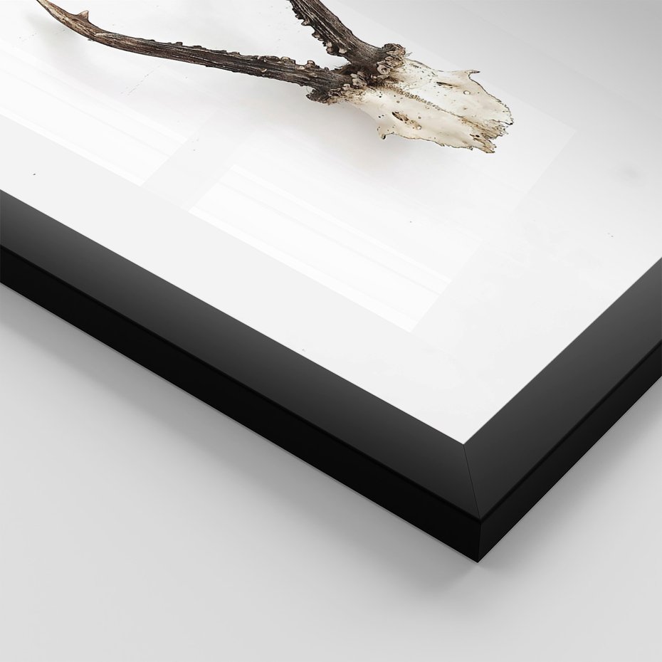 Zestaw obrazy w ramie, plakaty - kwiaty, minimalizm, roślina - rama czarna