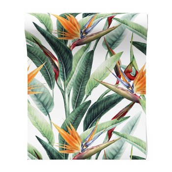 Tapeta - kwiat, liść, tropiki