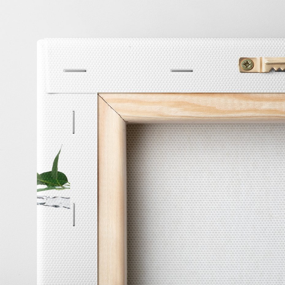 Obraz na płótnie - limonka, woda, świeżość