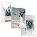 Zestaw obrazy w ramie, plakaty - eukaliptus, liście, gałązki - rama biała