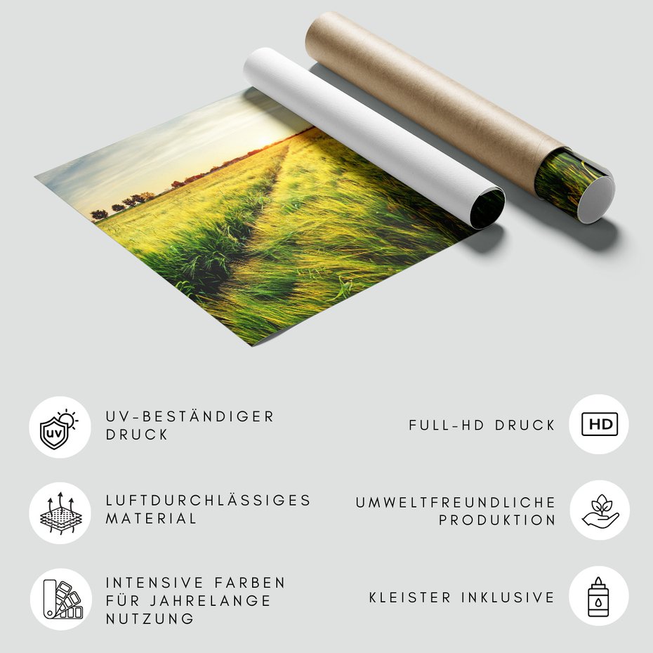 Fototapeta - pole, trawa, słońce