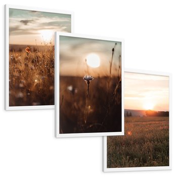 Zestaw obrazy w ramie, plakaty - pole, kwiaty, słońce - rama biała