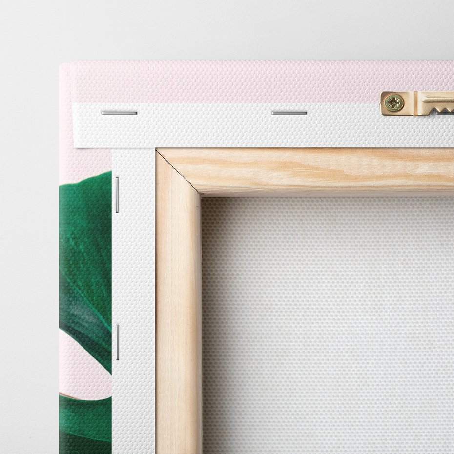 Obraz na płótnie - liście, monstera, roślina