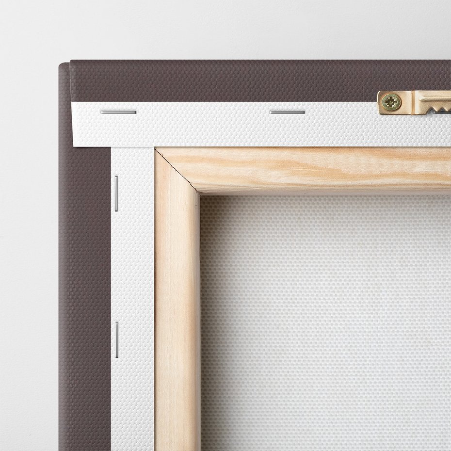 Obraz na płótnie - kwiat, orchidea, elegancja