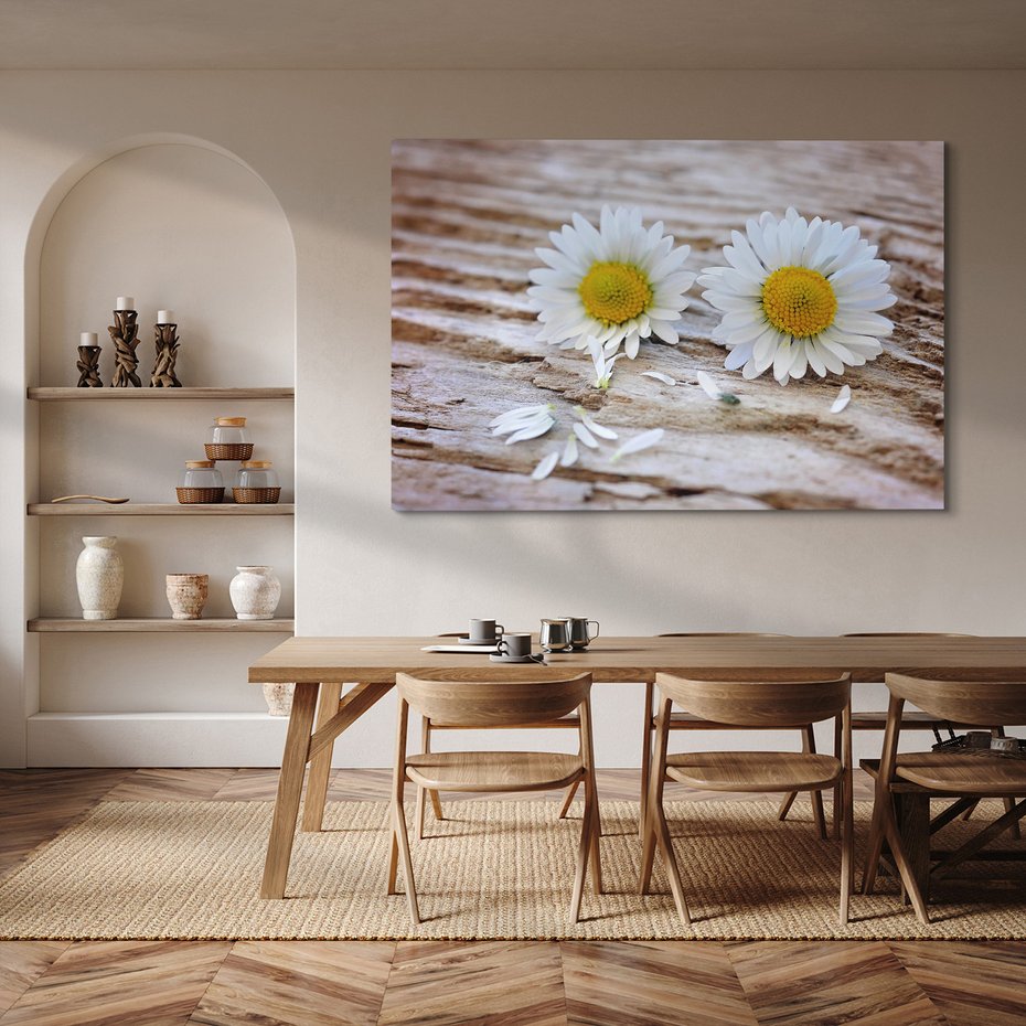 Obraz na płótnie - kwiaty, stokrotki, natura