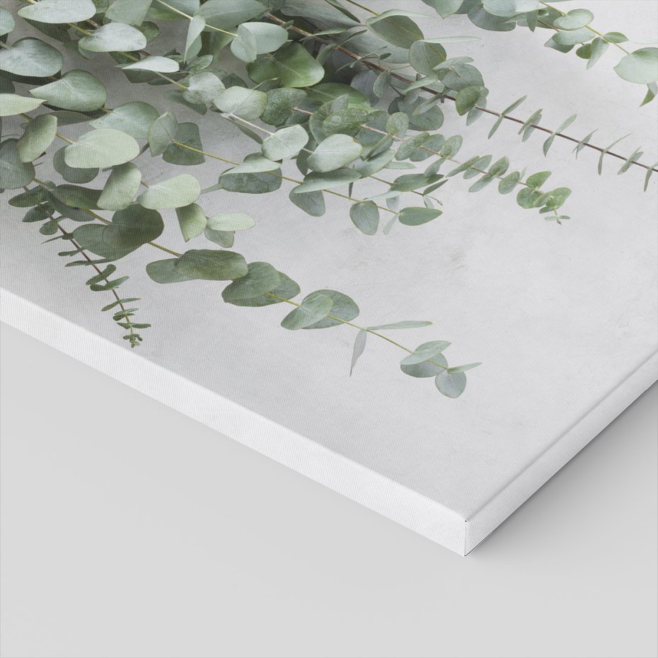 Obraz na płótnie - eukaliptus, dekoracja, liście