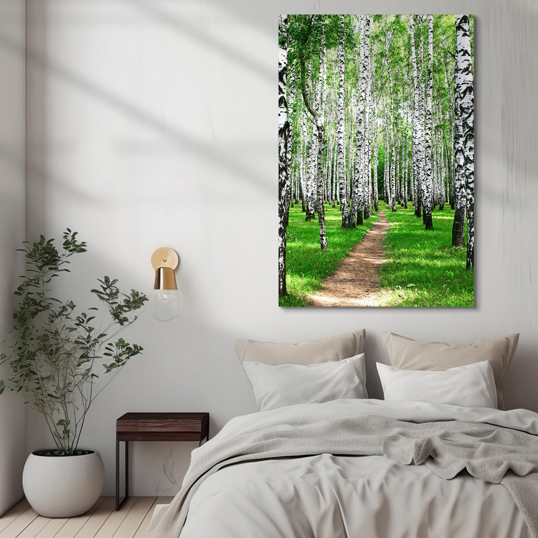 Obraz na płótnie - las, brzozy, natura