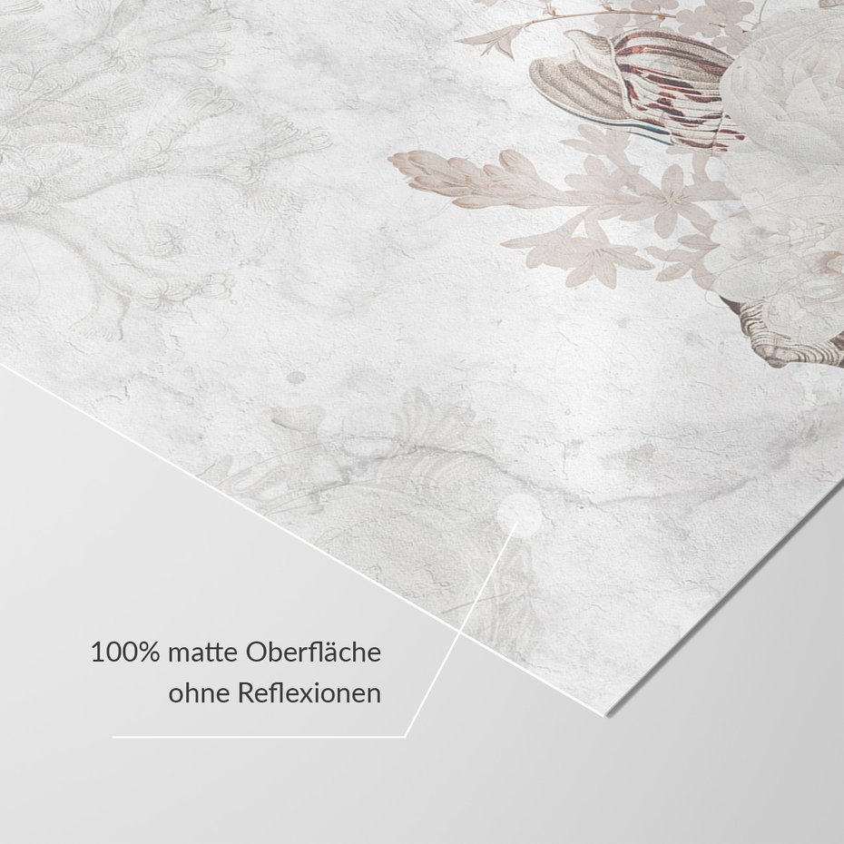 Fototapeta - loft, kwiaty, muszle