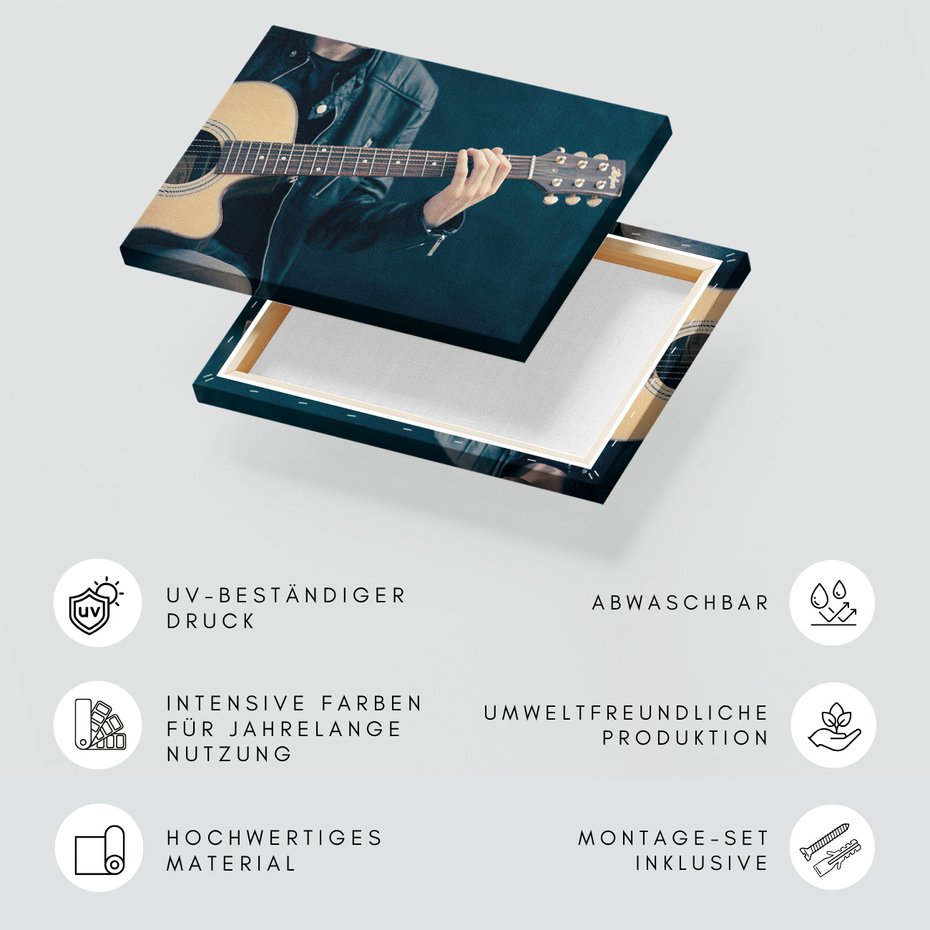 Obraz na płótnie - gitara, muzyka, skóra