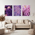 Zestaw obrazy w ramie, plakaty - kwiaty, kamienie, fioletowy - rama biała