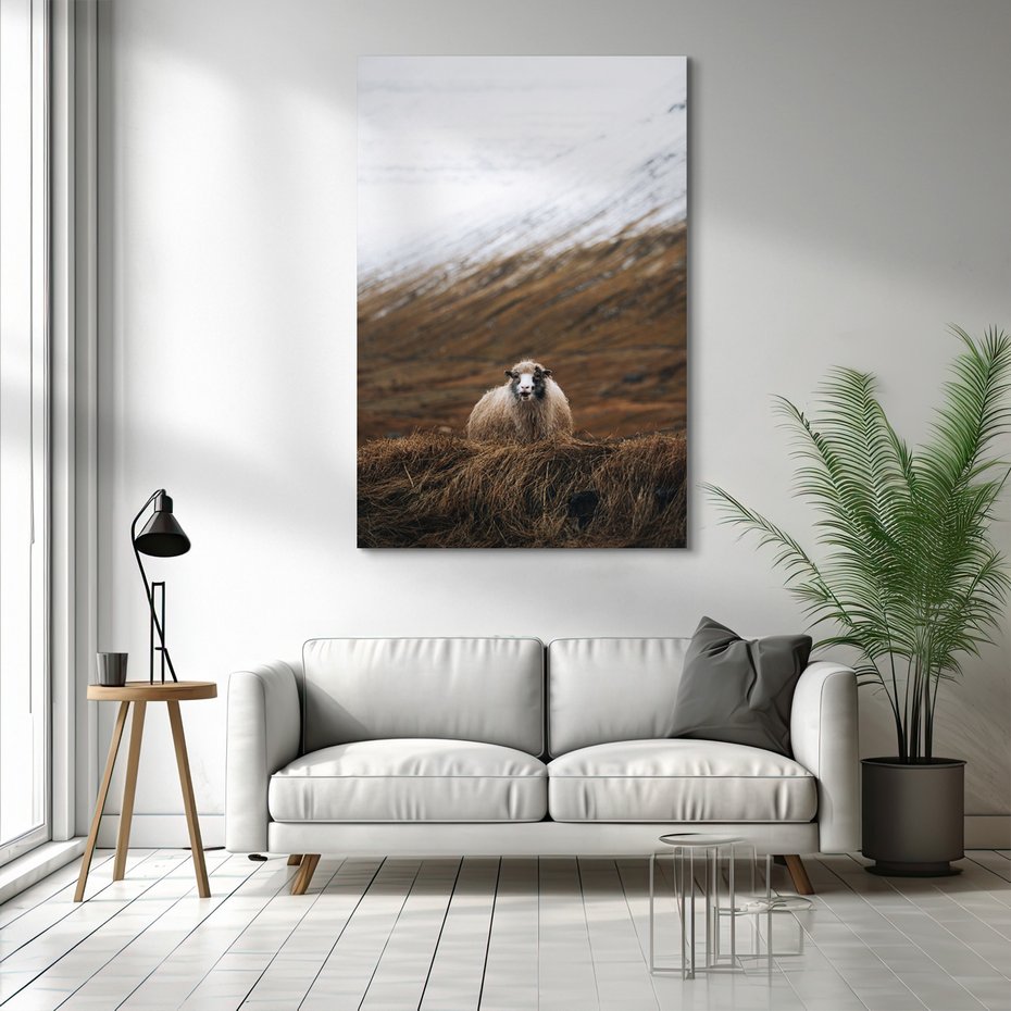 Obraz na płótnie - owca, góry, trawa