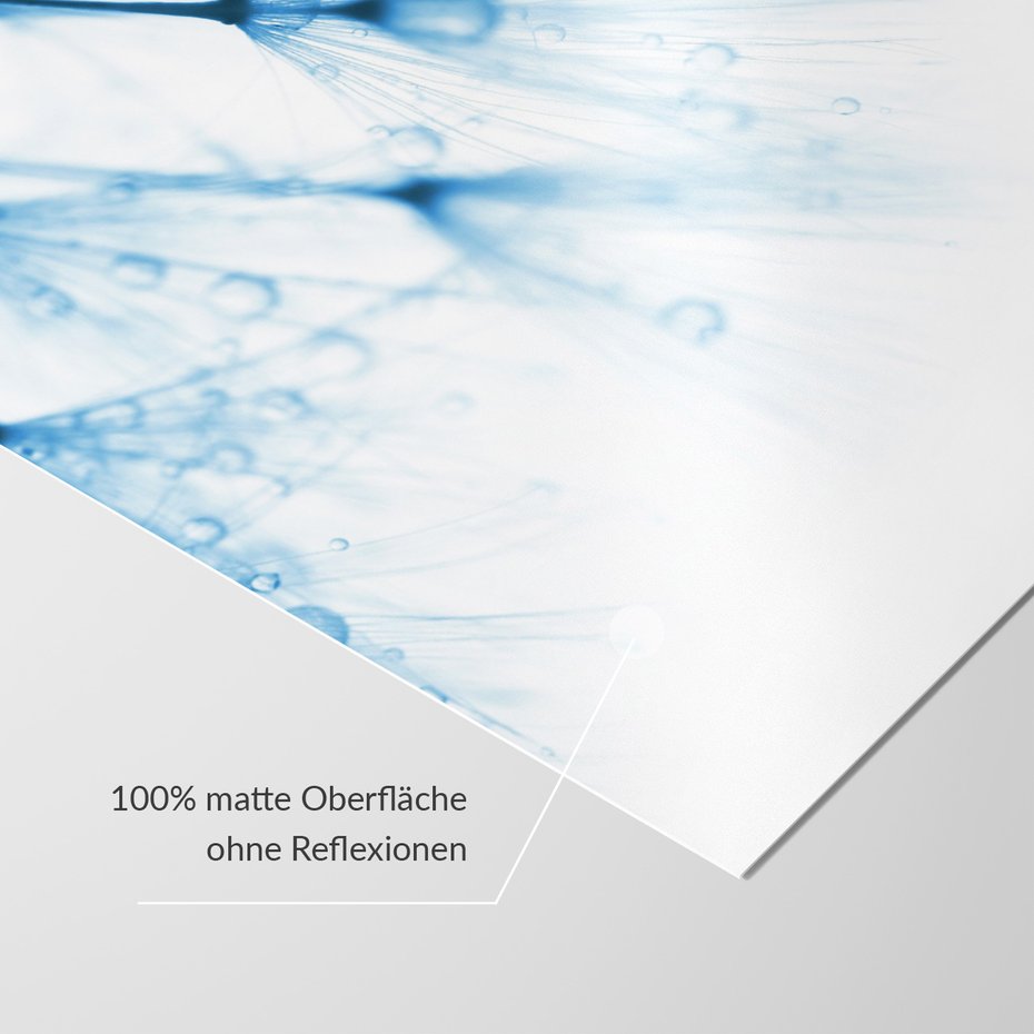 Fototapeta - dmuchawiec, krople, delikatność