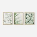 Zestaw obrazy w ramie, plakaty - liście, roślina, gałązka - rama drewno