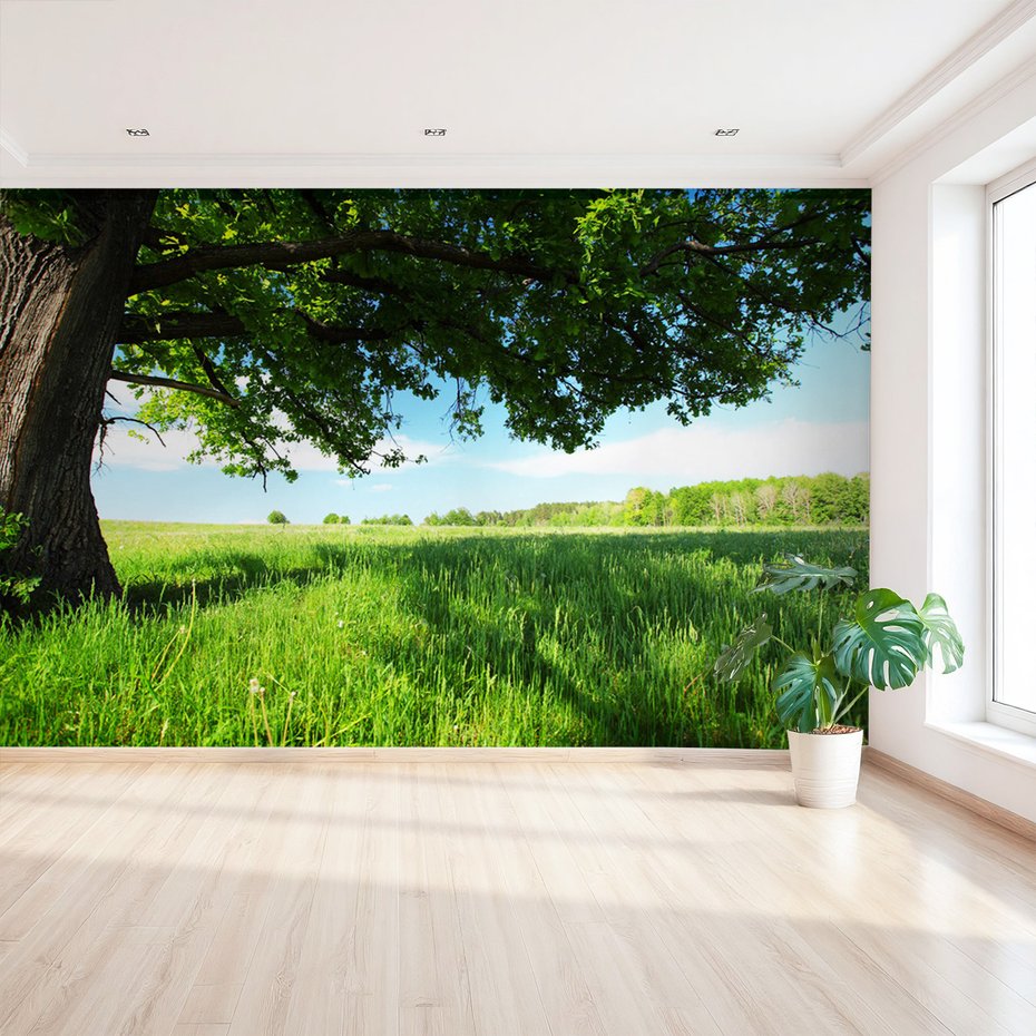 Fototapeta - drzewo, łąka, zielony