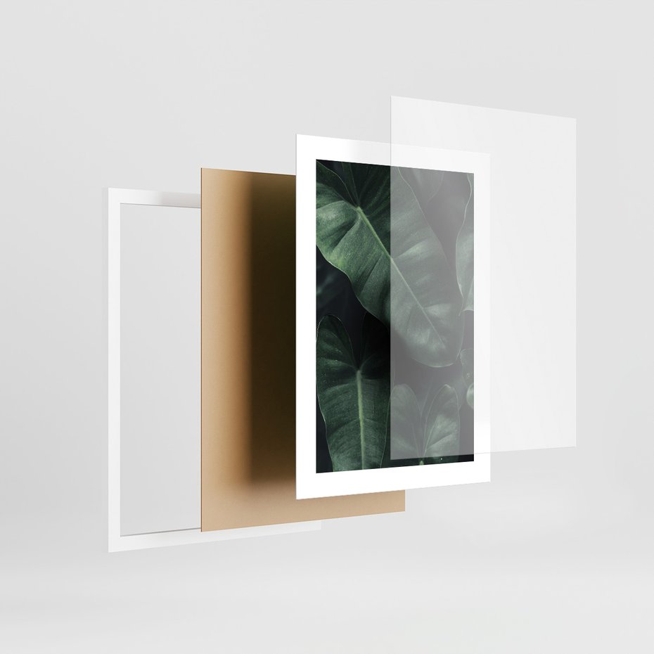 Zestaw obrazy w ramie, plakaty - liście, monstera, rośliny - rama biała