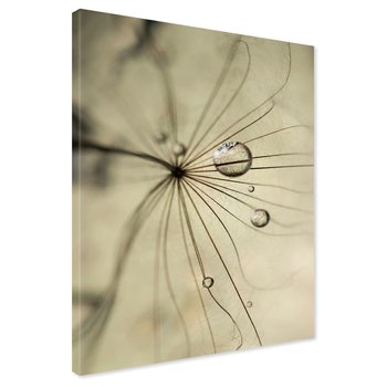 Obraz na płótnie - nasiona, krople, natura