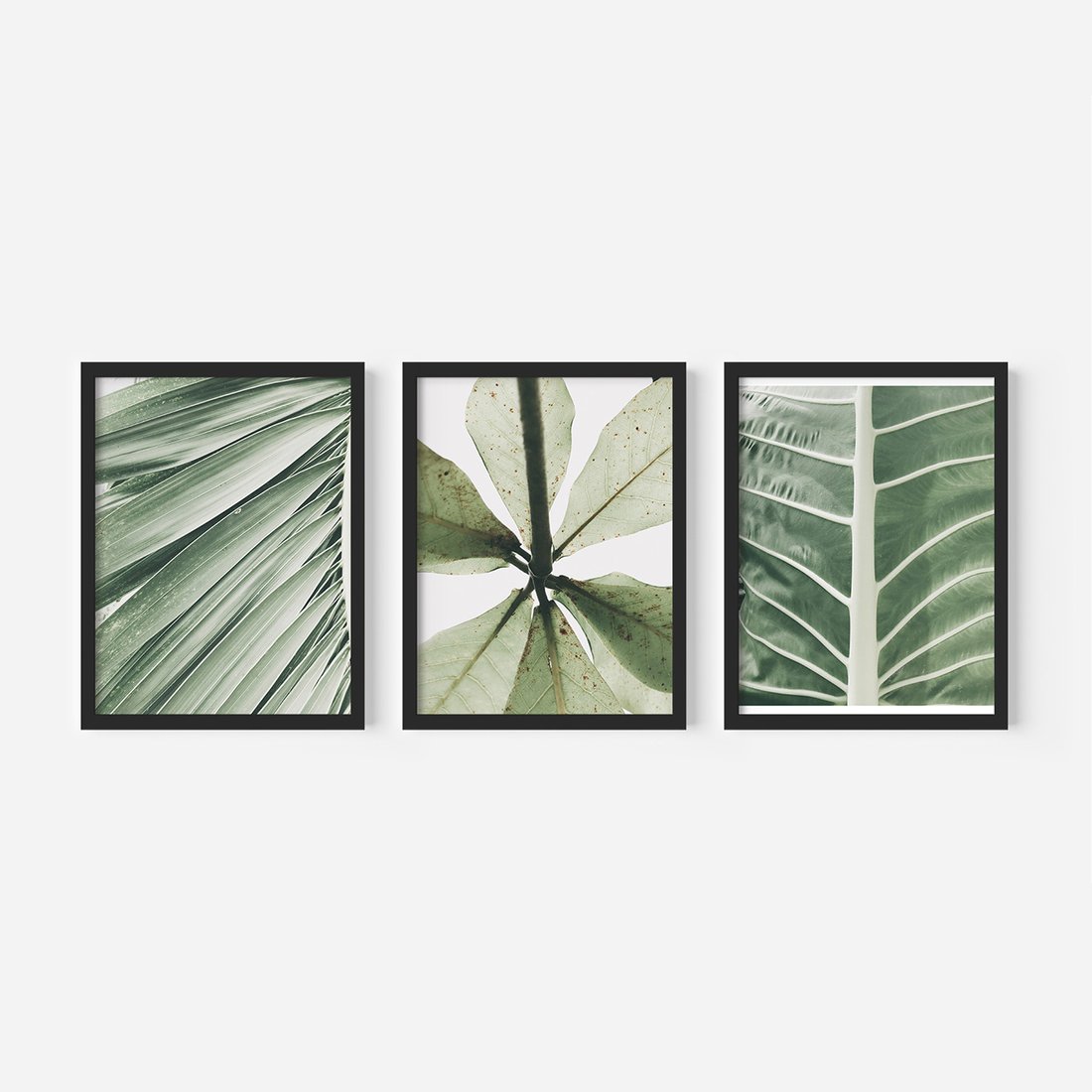 Zestaw obrazy w ramie, plakaty - liście, tropikalne, zielone - rama czarna