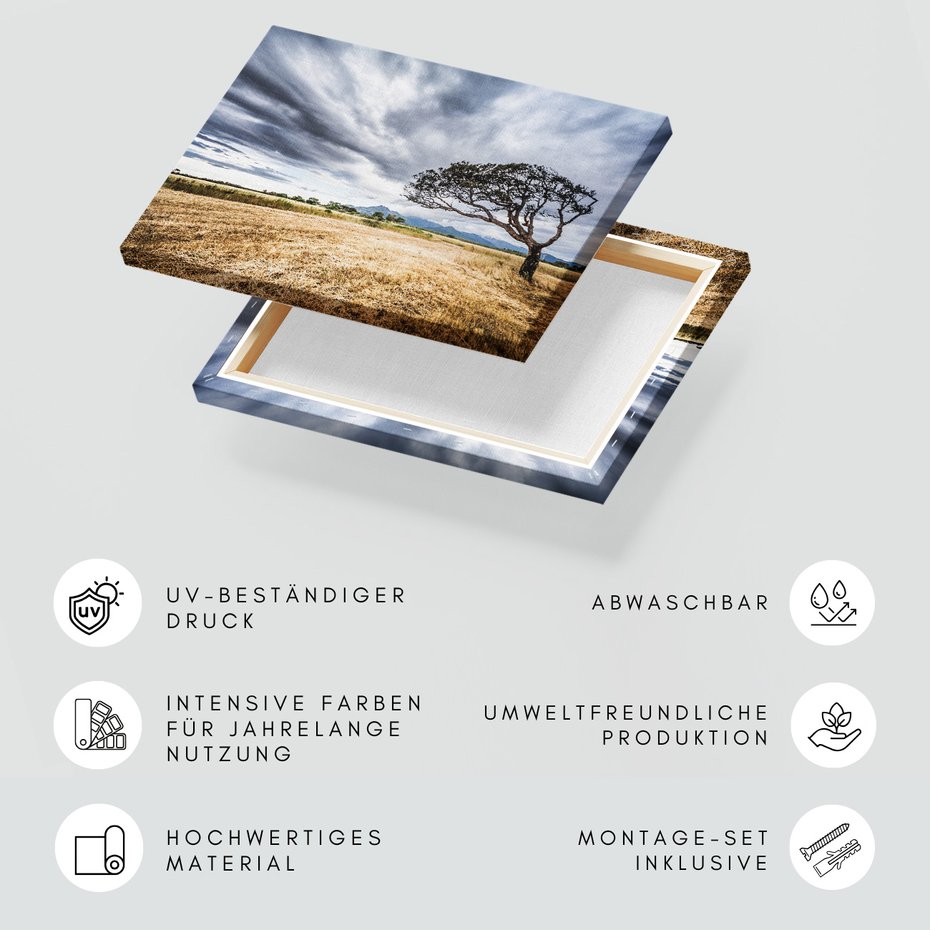 Obraz na płótnie - krajobraz, drzewo, chmury