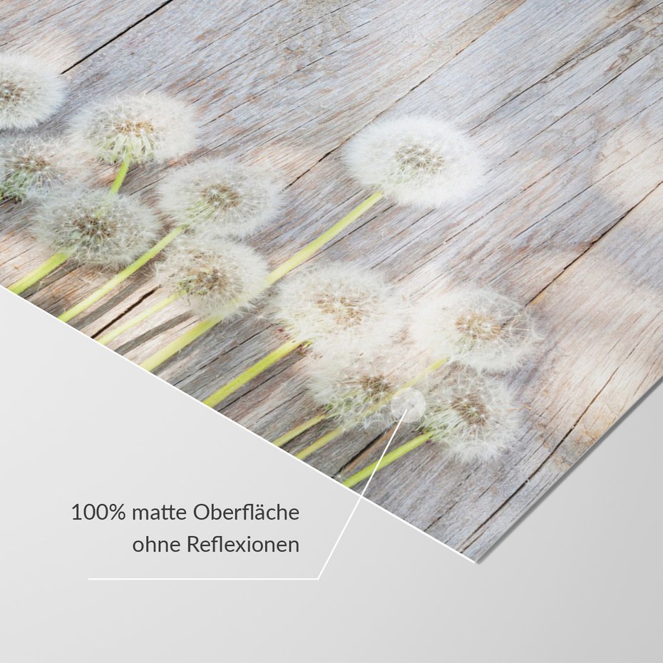 Fototapeta - dmuchawce, kwiaty, drewno