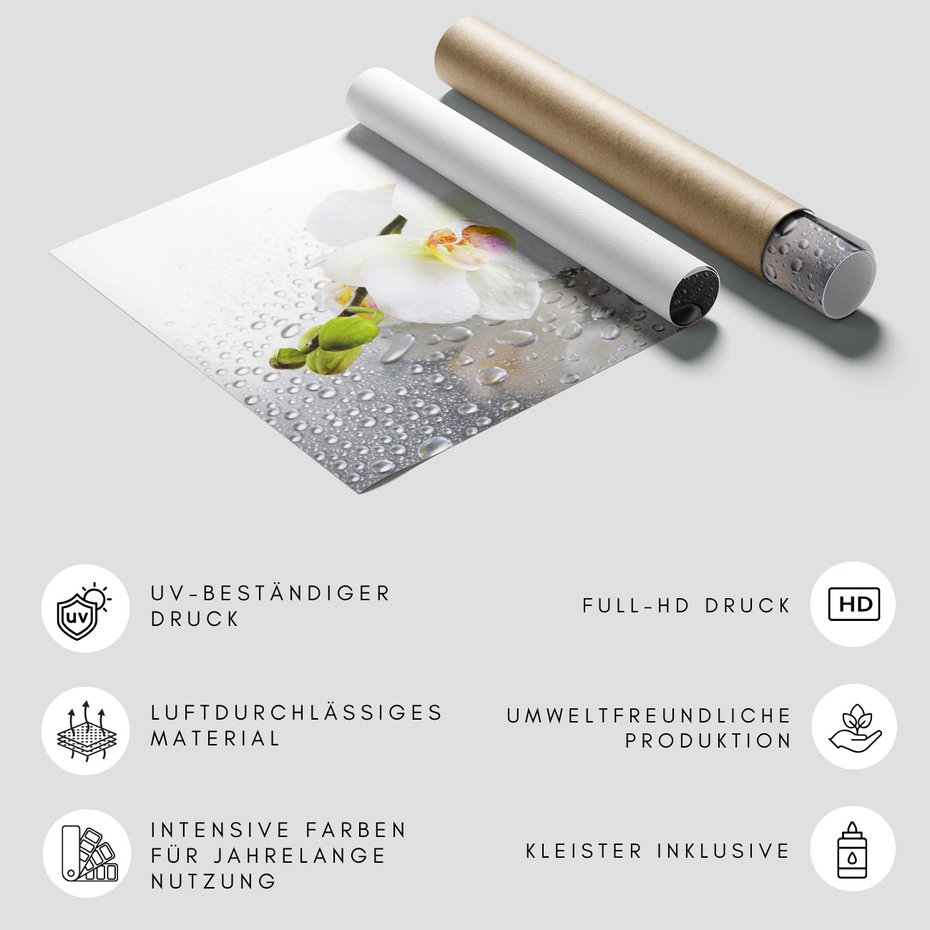 Fototapeta - kwiaty, orchidee, krople