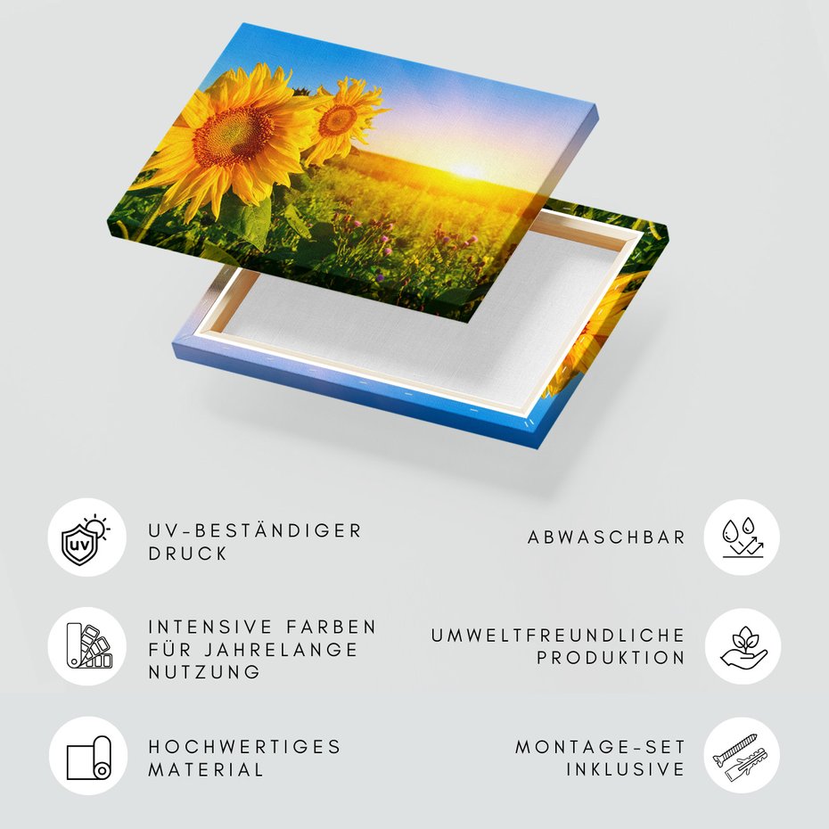 Obraz na płótnie - słoneczniki, kwiaty, lato