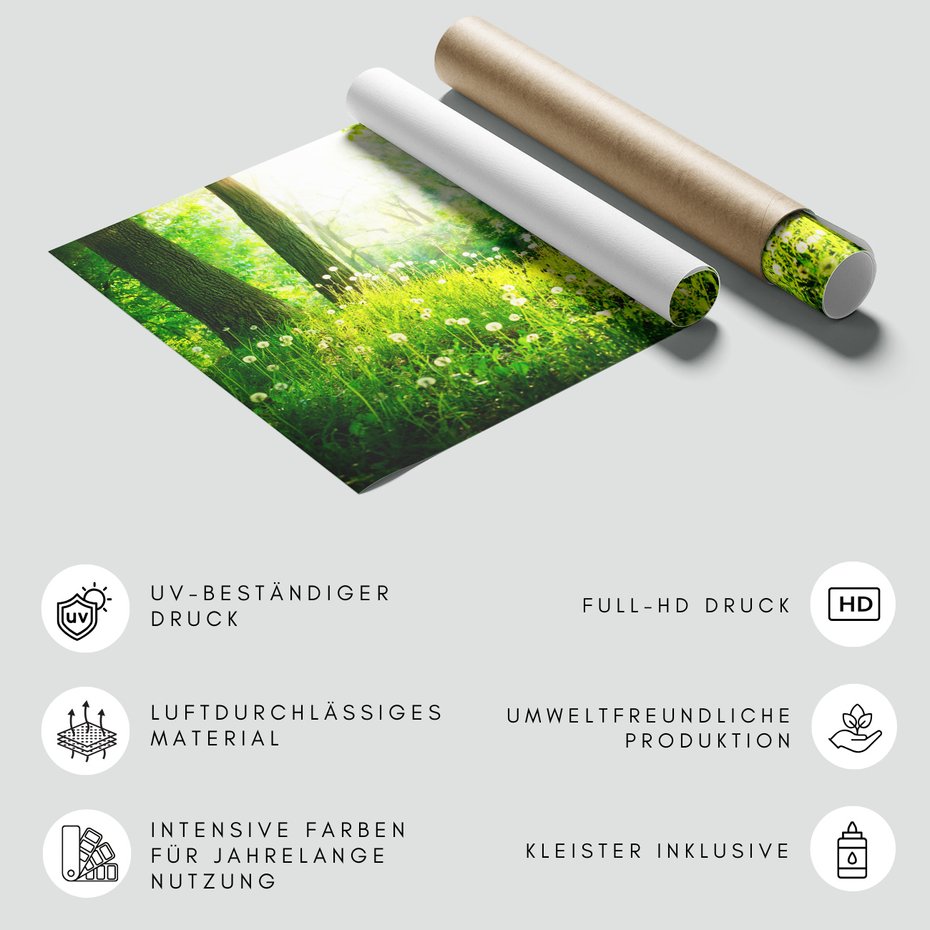 Fototapeta - las, wiosna, natura