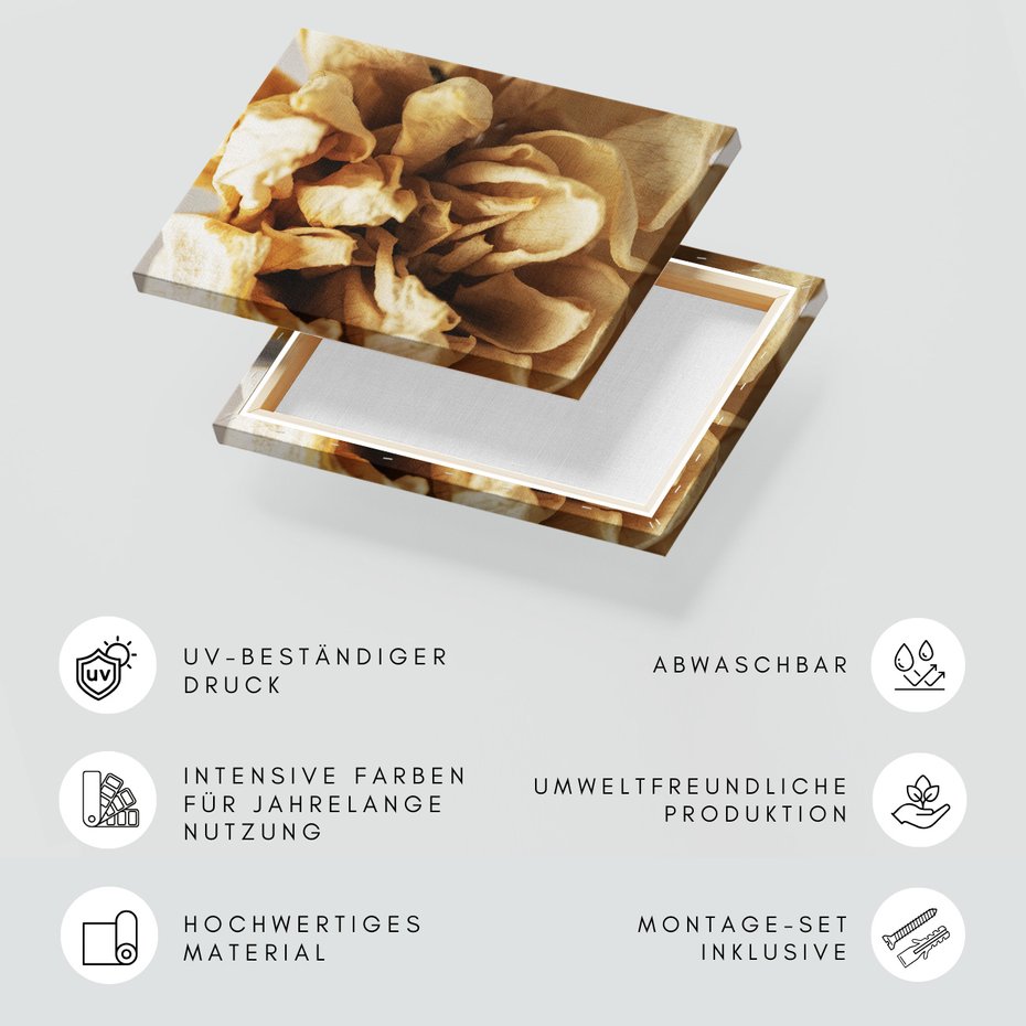 Obraz na płótnie - kwiat, płatki, suche