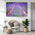 Obraz na płótnie - lawenda, pole, kwiaty