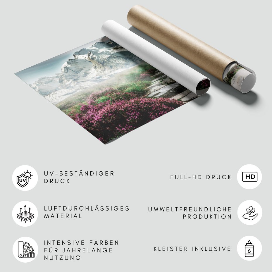 Fototapeta - góry, kamienie, kwiaty