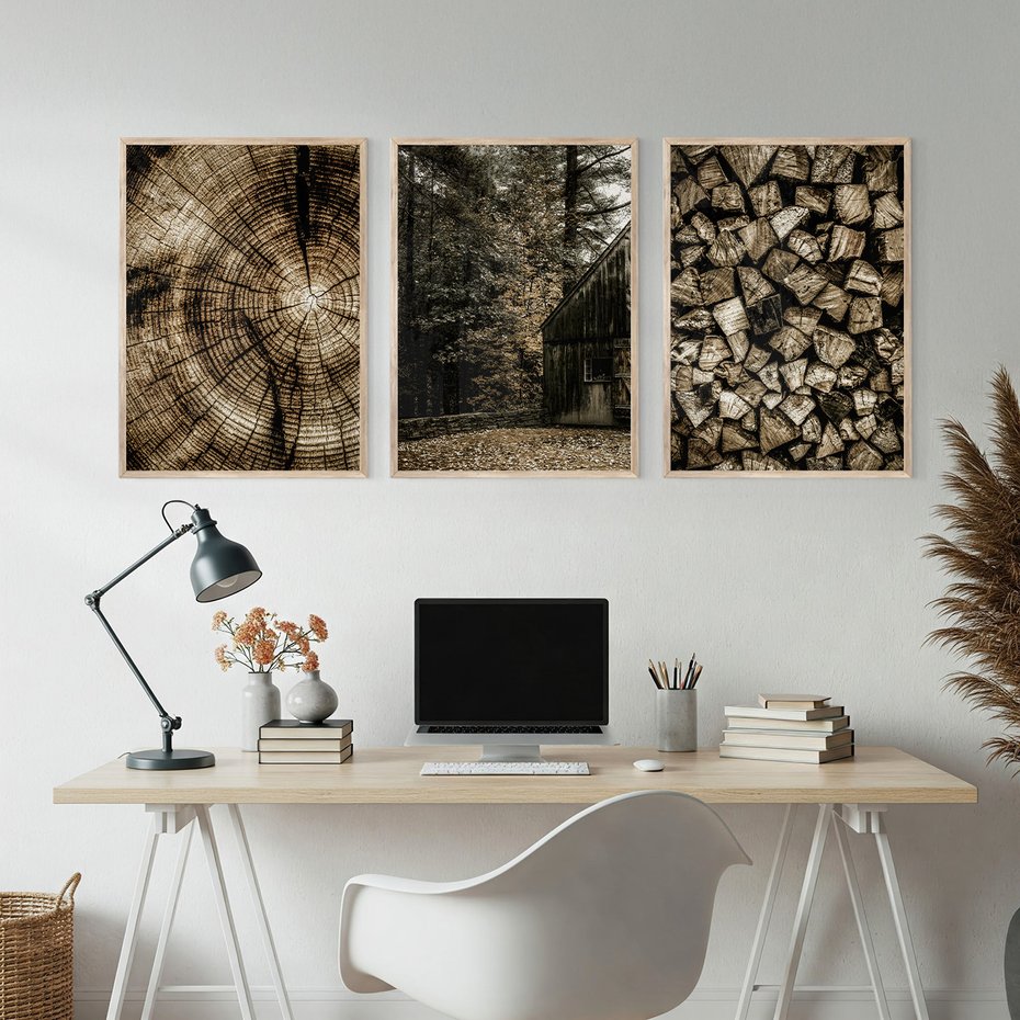 Zestaw obrazy w ramie, plakaty - drewno, kora, natura - rama drewno