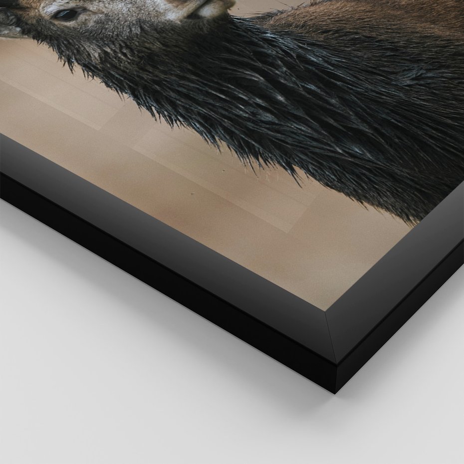 Zestaw obrazy w ramie, plakaty - las, drewno, natura - rama czarna