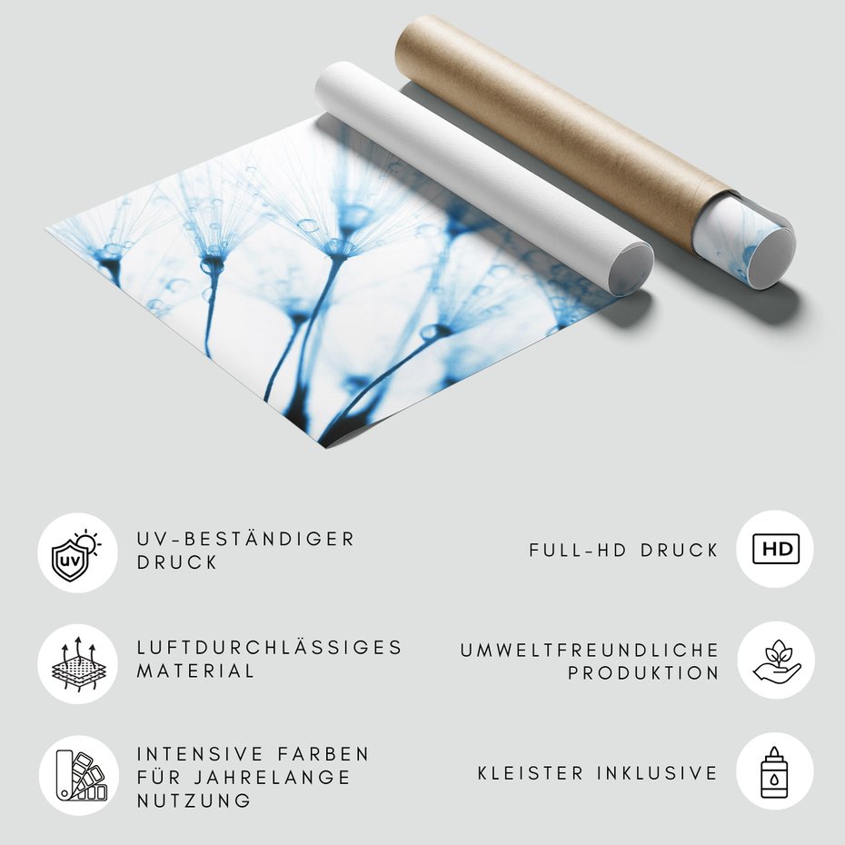 Fototapeta - dmuchawiec, krople, delikatność